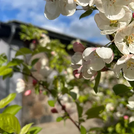 Charmante Erholungsoase